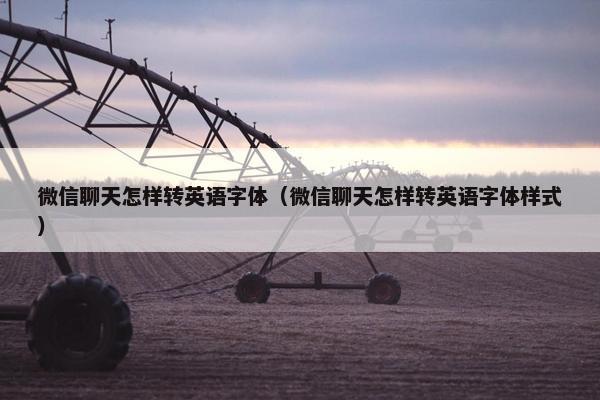 微信聊天怎样转英语字体（微信聊天怎样转英语字体样式）