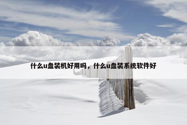 什么u盘装机好用吗，什么u盘装系统软件好