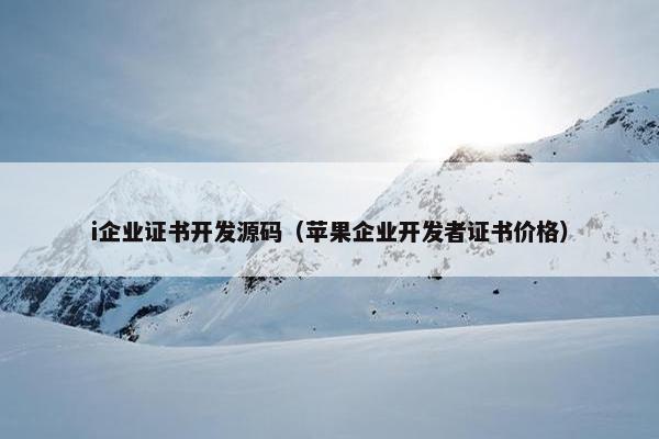 i企业证书开发源码（苹果企业开发者证书价格）