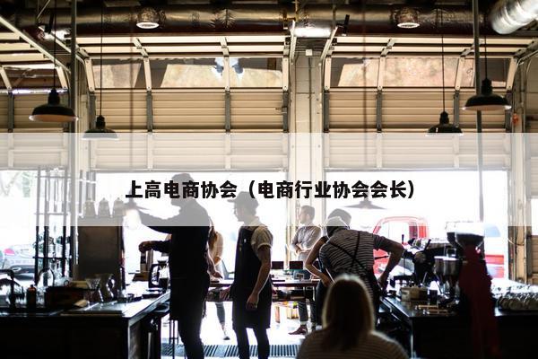 上高电商协会（电商行业协会会长）