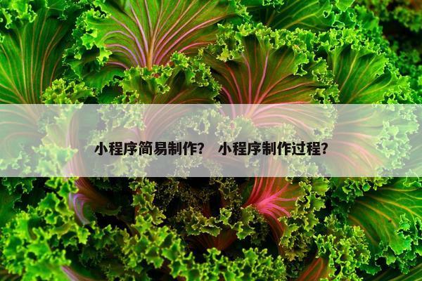 小程序简易制作？ 小程序制作过程？