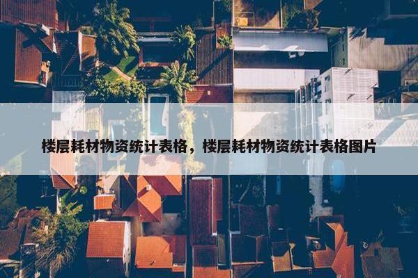 楼层耗材物资统计表格，楼层耗材物资统计表格图片