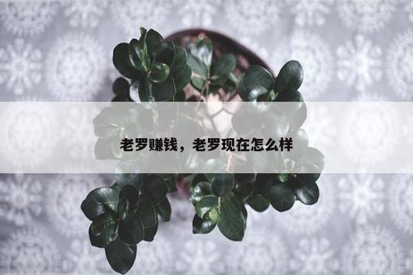 老罗赚钱，老罗现在怎么样