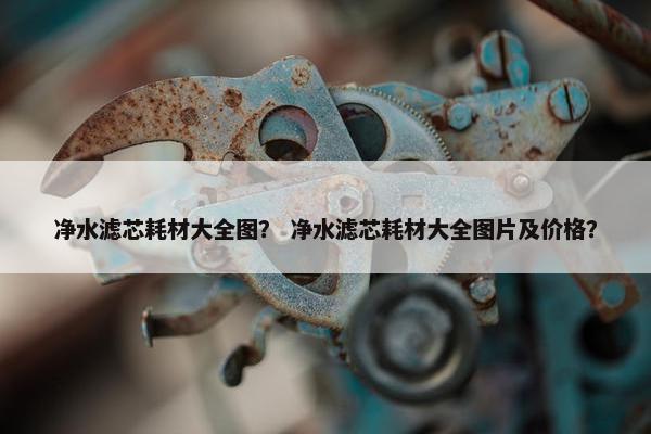 净水滤芯耗材大全图？ 净水滤芯耗材大全图片及价格？