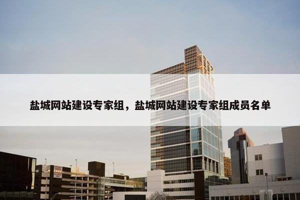 盐城网站建设专家组，盐城网站建设专家组成员名单