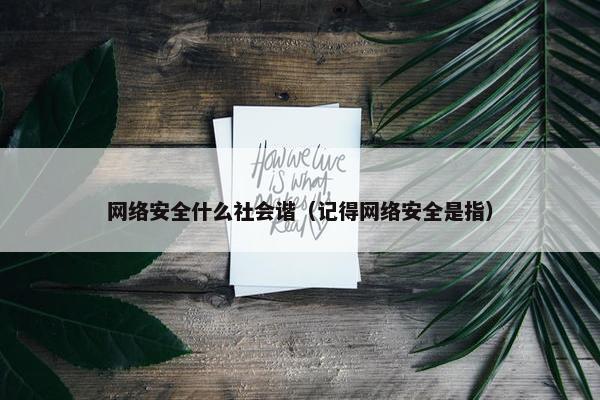 网络安全什么社会谐（记得网络安全是指）