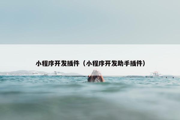 小程序开发插件（小程序开发助手插件）