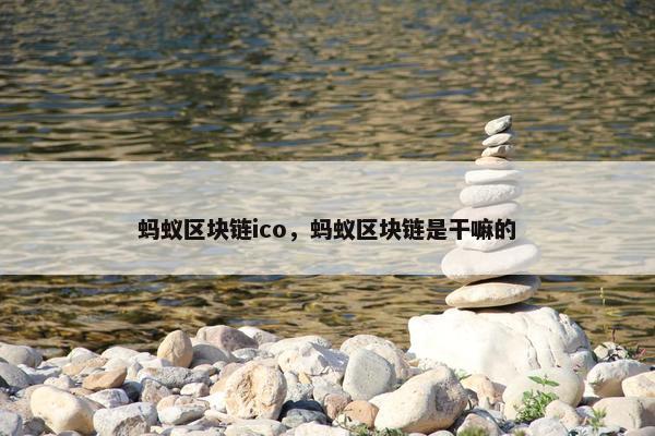 蚂蚁区块链ico，蚂蚁区块链是干嘛的