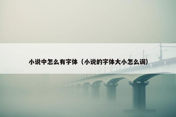小说中怎么有字体（小说的字体大小怎么调）