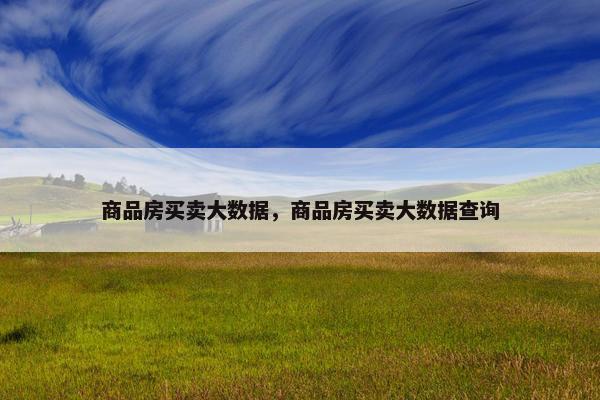 商品房买卖大数据，商品房买卖大数据查询