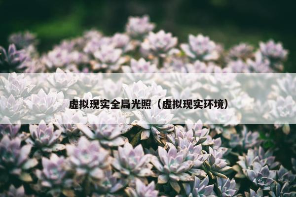 虚拟现实全局光照（虚拟现实环境）
