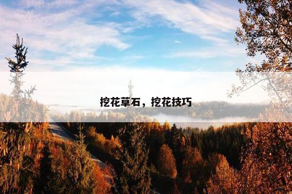 挖花草石，挖花技巧