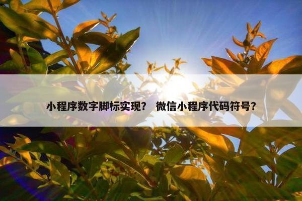 小程序数字脚标实现？ 微信小程序代码符号？