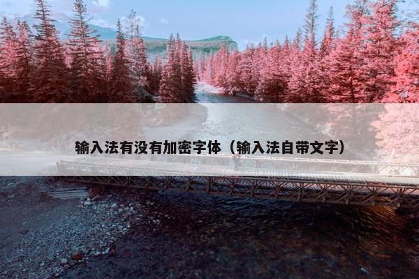 输入法有没有加密字体（输入法自带文字）