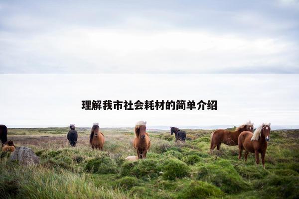 理解我市社会耗材的简单介绍