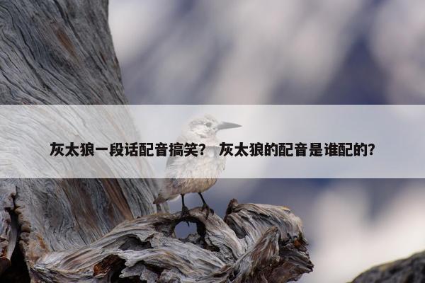 灰太狼一段话配音搞笑？ 灰太狼的配音是谁配的？