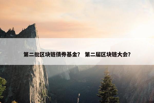 第二批区块链债券基金？ 第二届区块链大会？