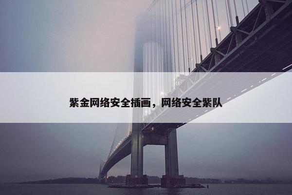 紫金网络安全插画，网络安全紫队