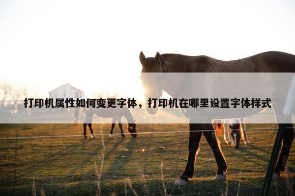 打印机属性如何变更字体，打印机在哪里设置字体样式
