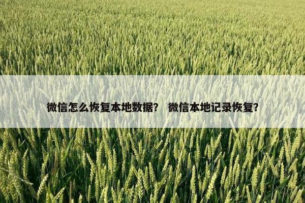 微信怎么恢复本地数据？ 微信本地记录恢复？