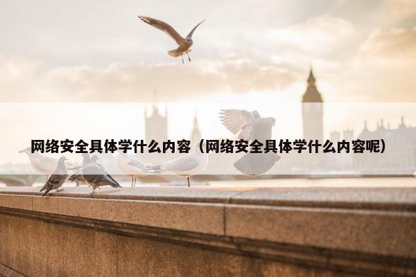 网络安全具体学什么内容（网络安全具体学什么内容呢）