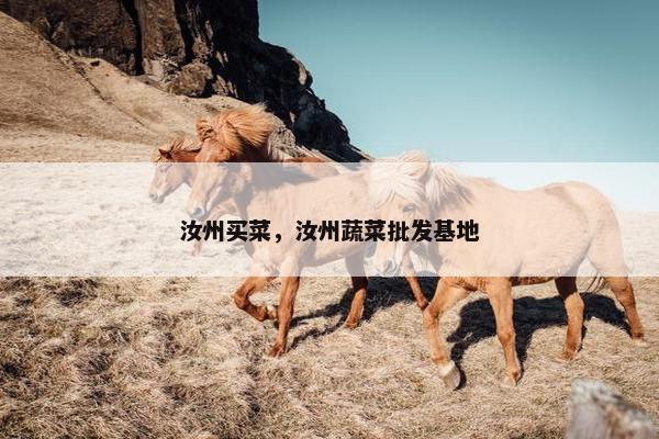 汝州买菜，汝州蔬菜批发基地