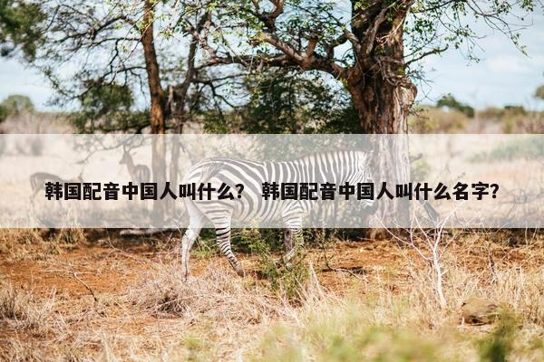 韩国配音中国人叫什么？ 韩国配音中国人叫什么名字？