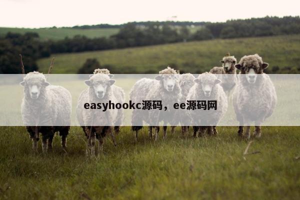 easyhookc源码，ee源码网