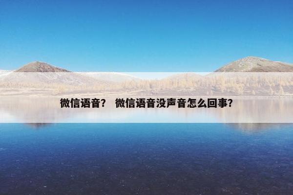 微信语音？ 微信语音没声音怎么回事？