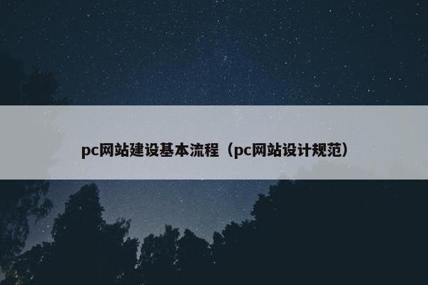 pc网站建设基本流程（pc网站设计规范）