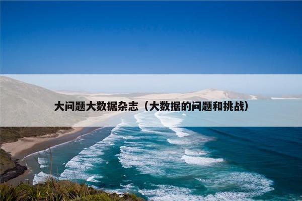 大问题大数据杂志（大数据的问题和挑战）