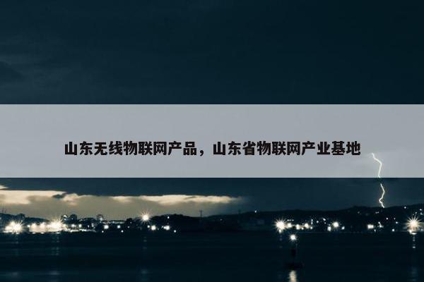 山东无线物联网产品，山东省物联网产业基地