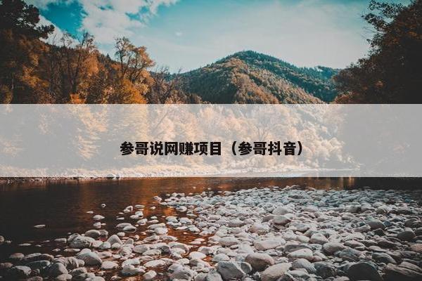 参哥说网赚项目（参哥抖音）