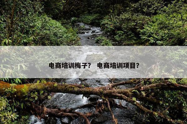 电商培训梅子？ 电商培训项目？