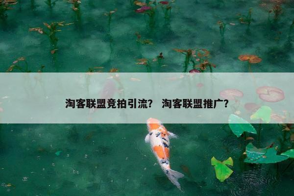 淘客联盟竞拍引流？ 淘客联盟推广？