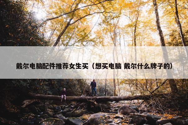 戴尔电脑配件推荐女生买（想买电脑 戴尔什么牌子的）