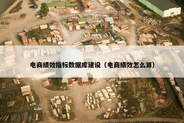 电商绩效指标数据库建设（电商绩效怎么算）