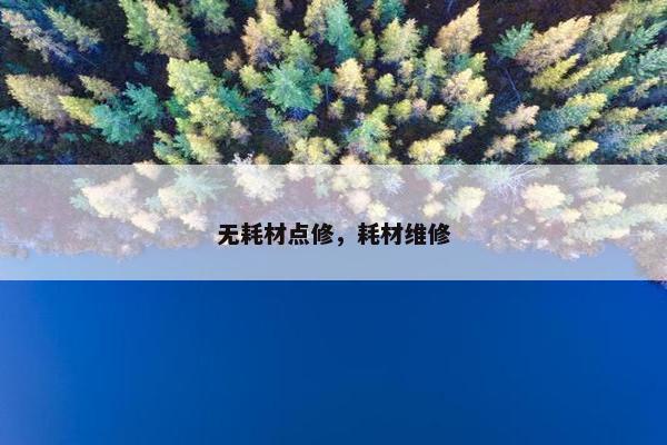 无耗材点修，耗材维修