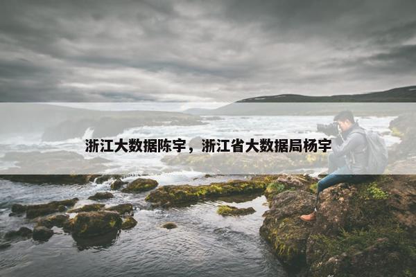浙江大数据陈宇，浙江省大数据局杨宇