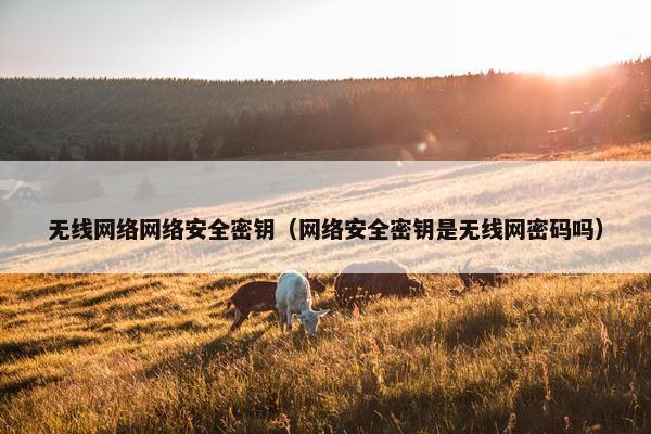 无线网络网络安全密钥（网络安全密钥是无线网密码吗）