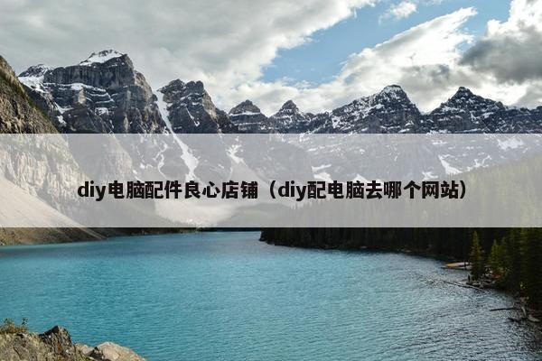 diy电脑配件良心店铺（diy配电脑去哪个网站）