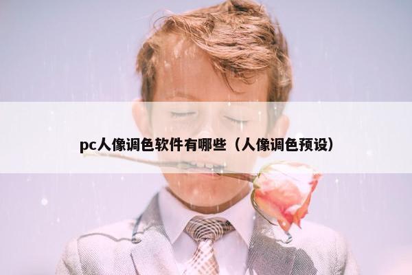 pc人像调色软件有哪些（人像调色预设）