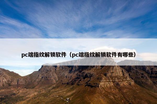 pc端指纹解锁软件（pc端指纹解锁软件有哪些）