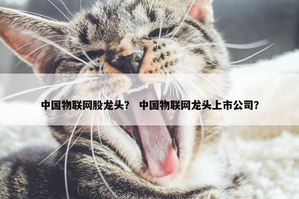 中国物联网股龙头？ 中国物联网龙头上市公司？
