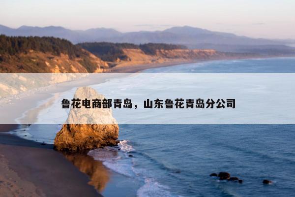 鲁花电商部青岛，山东鲁花青岛分公司
