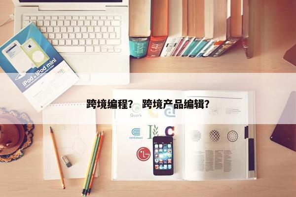 跨境编程？ 跨境产品编辑？