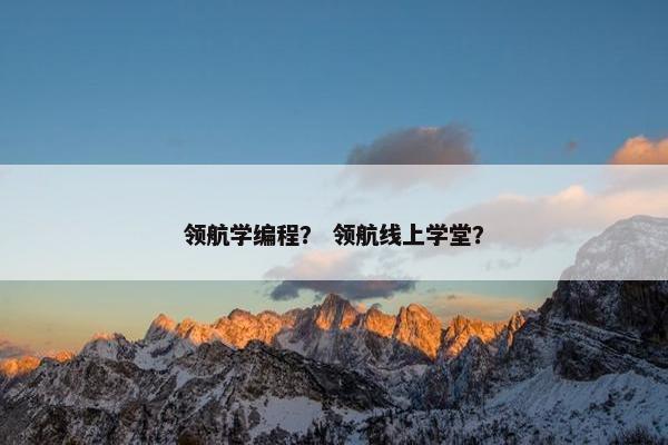 领航学编程？ 领航线上学堂？