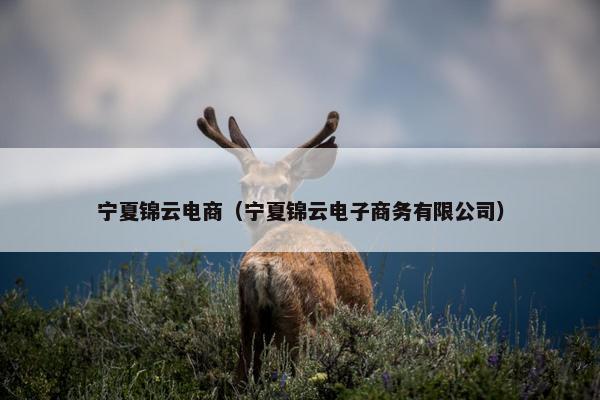 宁夏锦云电商（宁夏锦云电子商务有限公司）