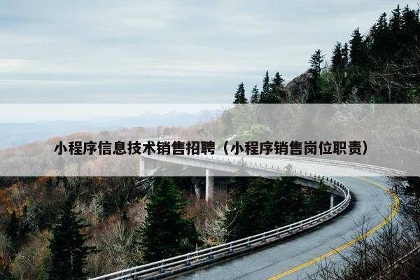 小程序信息技术销售招聘（小程序销售岗位职责）