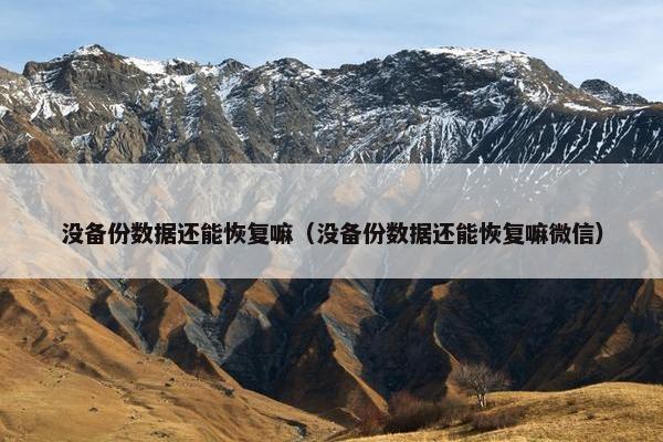 没备份数据还能恢复嘛（没备份数据还能恢复嘛微信）